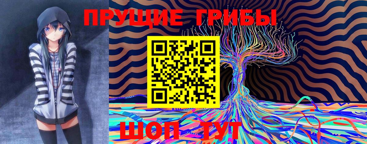 Сокол  Галлюциногенные грибы Magic Shrooms  Вход с VPN 